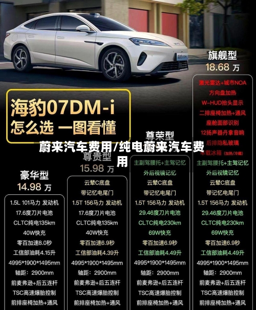 蔚来汽车费用/纯电蔚来汽车费用-第3张图片
