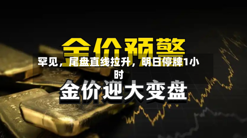 罕见，尾盘直线拉升	，明日停牌1小时-第2张图片