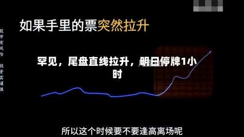 罕见，尾盘直线拉升，明日停牌1小时