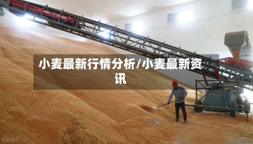 小麦最新行情分析/小麦最新资讯-第2张图片