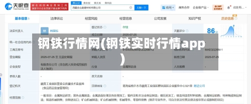 钢铁行情网(钢铁实时行情app)-第2张图片