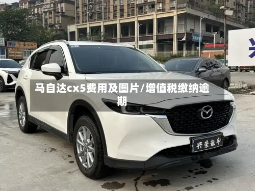 马自达cx5费用及图片/增值税缴纳逾期