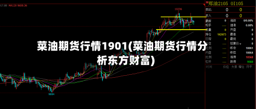 菜油期货行情1901(菜油期货行情分析东方财富)-第2张图片