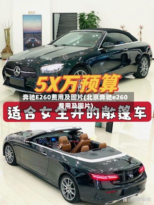 奔驰E260费用及图片(北京奔驰e260费用及图片)-第3张图片
