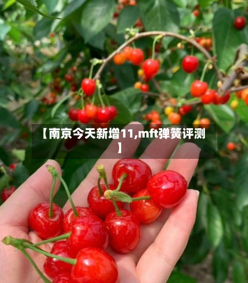 【南京今天新增11,mft弹簧评测】-第2张图片
