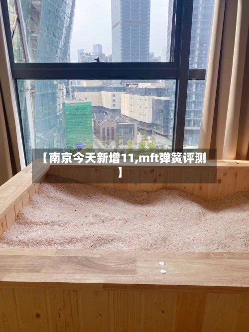 【南京今天新增11,mft弹簧评测】-第3张图片