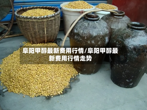 阜阳甲醇最新费用行情/阜阳甲醇最新费用行情走势-第2张图片