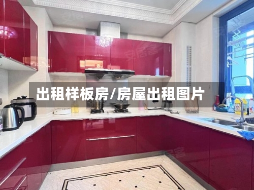 出租样板房/房屋出租图片
