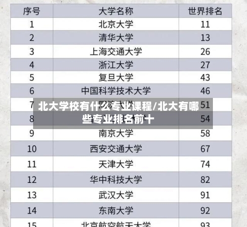 北大学校有什么专业课程/北大有哪些专业排名前十-第2张图片