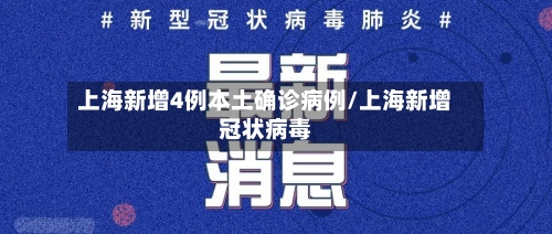 上海新增4例本土确诊病例/上海新增冠状病毒-第2张图片
