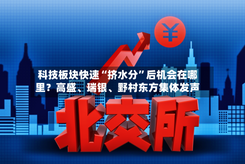 科技板块快速“挤水分”后机会在哪里？高盛、瑞银	、野村东方集体发声-第2张图片