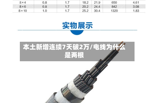 本土新增连续7天破2万/电线为什么是两根-第3张图片