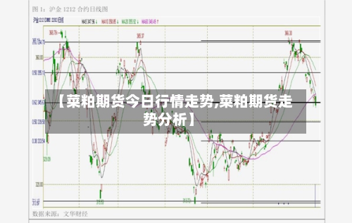 【菜粕期货今日行情走势,菜粕期货走势分析】