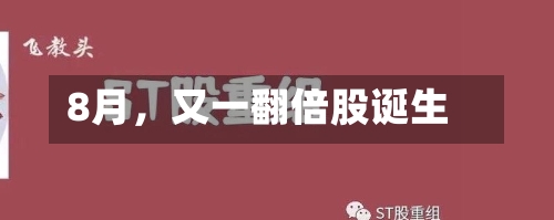 8月	，又一翻倍股诞生-第2张图片