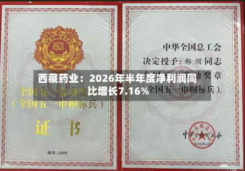 西藏药业：2026年半年度净利润同比增长7.16%-第1张图片