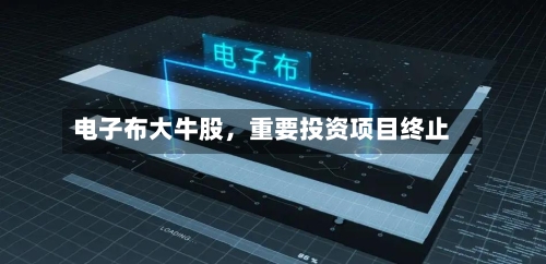 电子布大牛股，重要投资项目终止-第1张图片