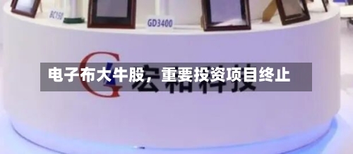 电子布大牛股，重要投资项目终止-第2张图片