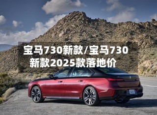 宝马730新款/宝马730新款2025款落地价-第2张图片