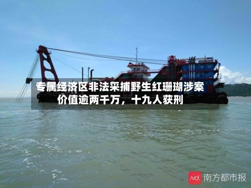 专属经济区非法采捕野生红珊瑚涉案价值逾两千万，十九人获刑