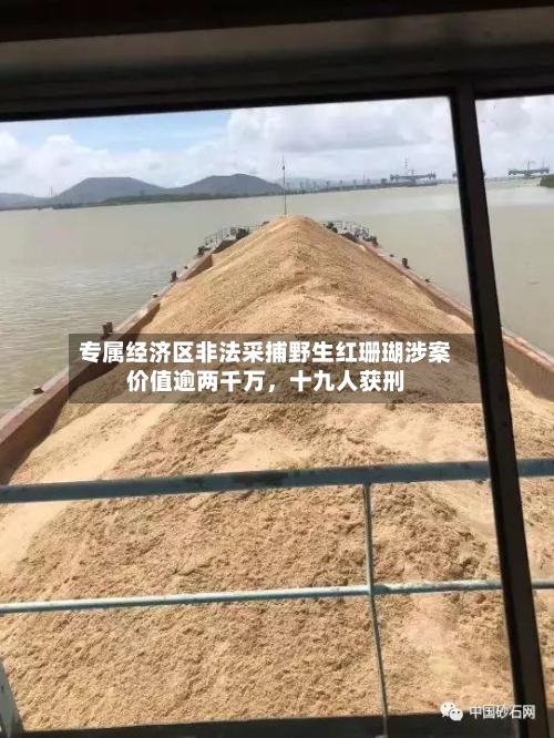 专属经济区非法采捕野生红珊瑚涉案价值逾两千万	，十九人获刑-第2张图片