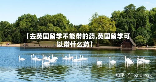 【去英国留学不能带的药,英国留学可以带什么药】-第3张图片