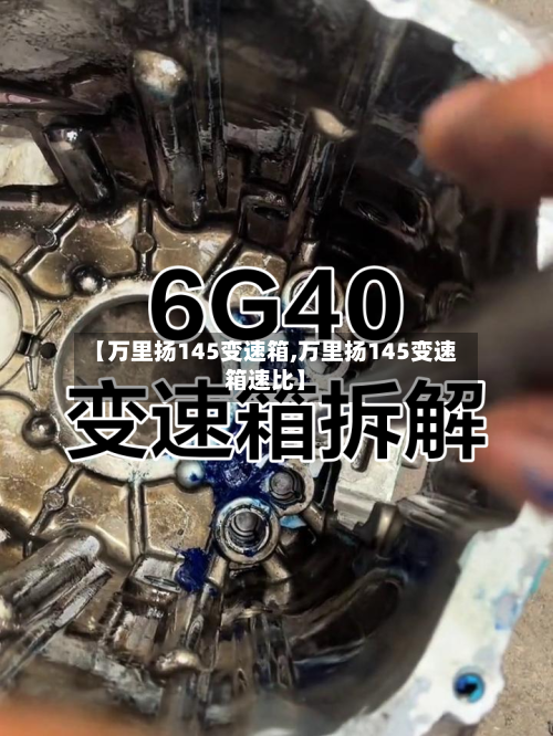 【万里扬145变速箱,万里扬145变速箱速比】