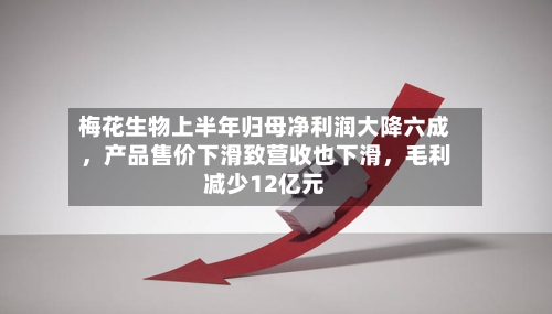 梅花生物上半年归母净利润大降六成，产品售价下滑致营收也下滑，毛利减少12亿元-第2张图片