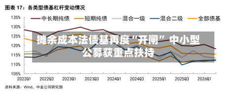 摊余成本法债基再度“开闸	” 中小型公募获重点扶持-第2张图片