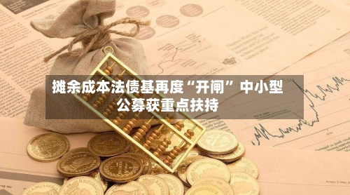 摊余成本法债基再度“开闸” 中小型公募获重点扶持-第3张图片