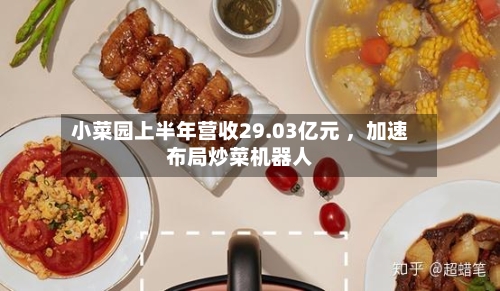 小菜园上半年营收29.03亿元 ，加速布局炒菜机器人