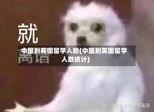 中国到英国留学人数(中国到英国留学人数统计)
