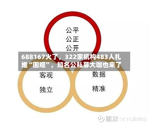 688167火了，322家机构483人扎堆“围观”	，知名公私募大咖也来了-第3张图片