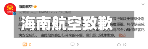 海南航空致歉