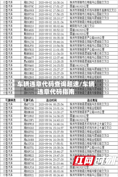 车辆违章代码查询超速/车辆违章代码指南