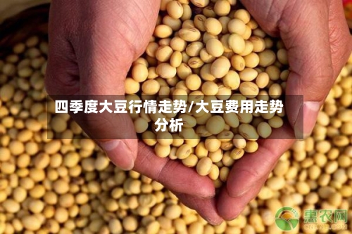 四季度大豆行情走势/大豆费用走势分析-第3张图片