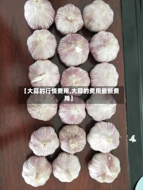 【大蒜的行情费用,大蒜的费用最新费用】