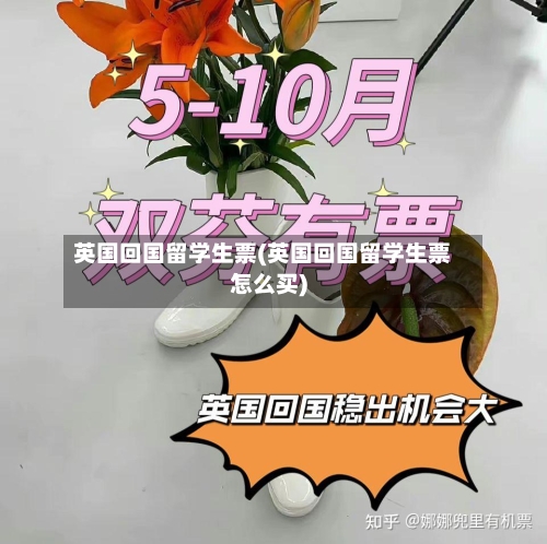 英国回国留学生票(英国回国留学生票怎么买)-第3张图片
