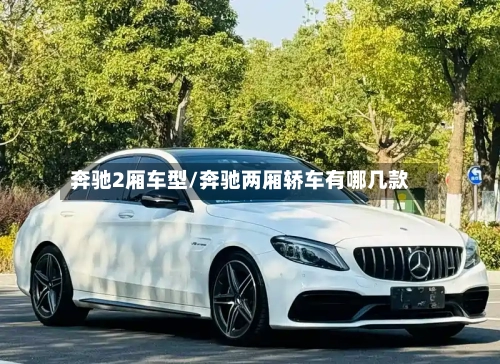 奔驰2厢车型/奔驰两厢轿车有哪几款-第2张图片