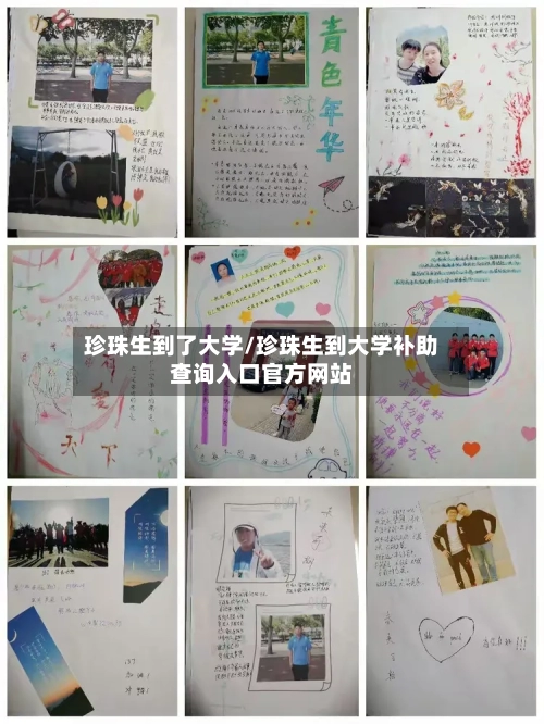 珍珠生到了大学/珍珠生到大学补助查询入口官方网站-第2张图片