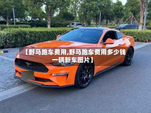 【野马跑车费用,野马跑车费用多少钱一辆新车图片】