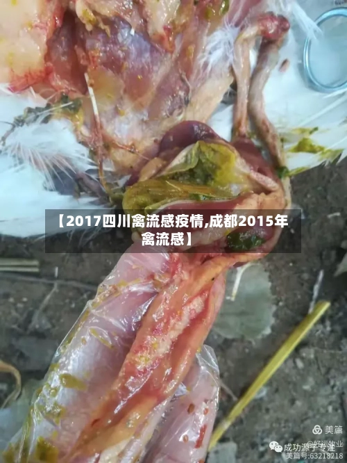 【2017四川禽流感疫情,成都2015年禽流感】