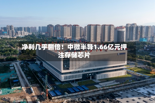 净利几乎翻倍！中微半导1.66亿元押注存储芯片