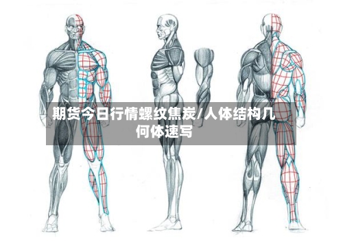 期货今日行情螺纹焦炭/人体结构几何体速写