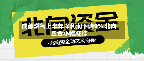 成都燃气上半年净利润下降9% 北向资金小幅减持