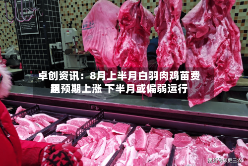 卓创资讯：8月上半月白羽肉鸡苗费用超预期上涨 下半月或偏弱运行