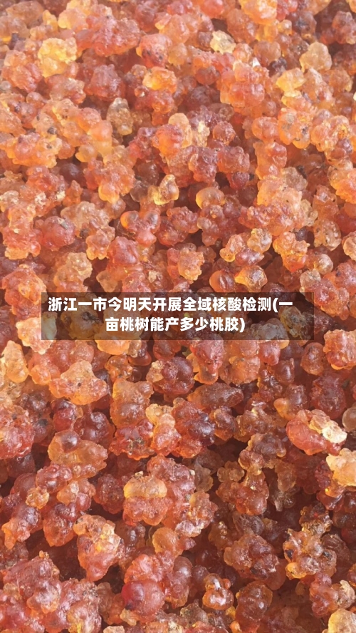 浙江一市今明天开展全域核酸检测(一亩桃树能产多少桃胶)-第3张图片
