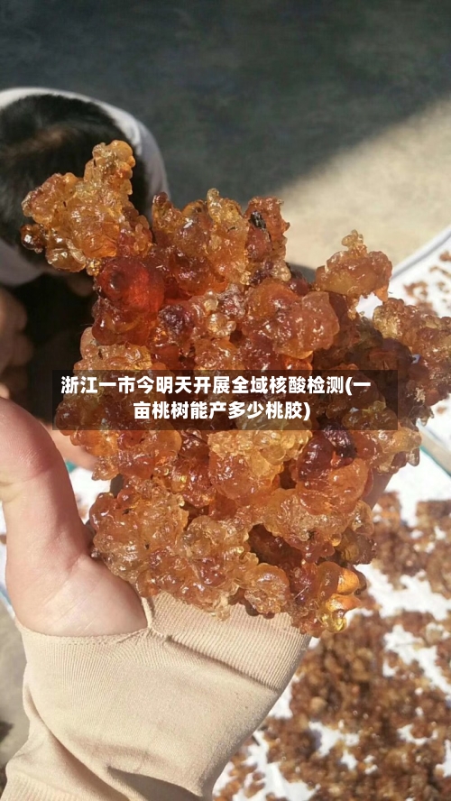 浙江一市今明天开展全域核酸检测(一亩桃树能产多少桃胶)
