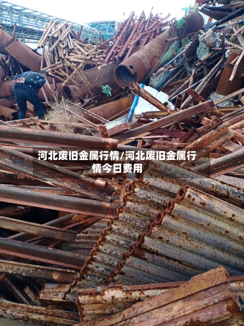 河北废旧金属行情/河北废旧金属行情今日费用