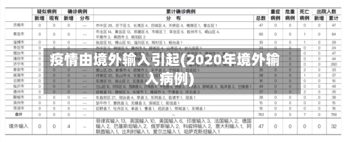 疫情由境外输入引起(2020年境外输入病例)