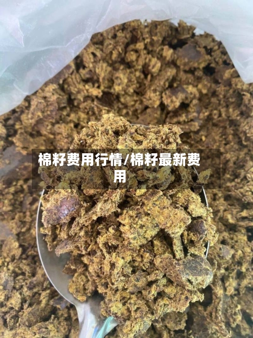棉籽费用行情/棉籽最新费用